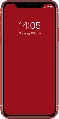 Apple iPhone 11 Display Reparatur