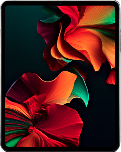 iPad Pro 4 (12.9 Zoll)
