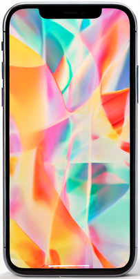 Apple iPhone 12 Pro Backcover (Rückseite) Reparatur