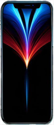 Apple iPhone 12 Pro Max Backcover (Rückseite) Reparatur