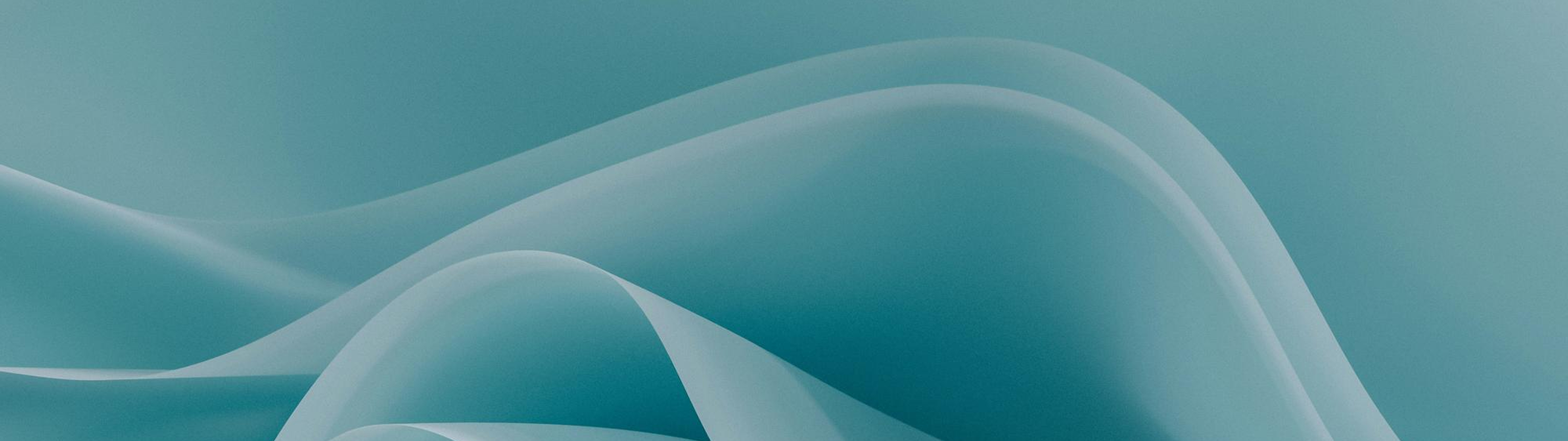 Shop-Banner